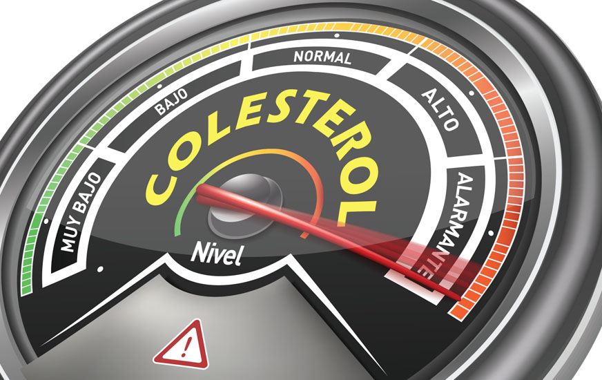 Cínica de Colesterol | Centro Médico Santa María de la Salud